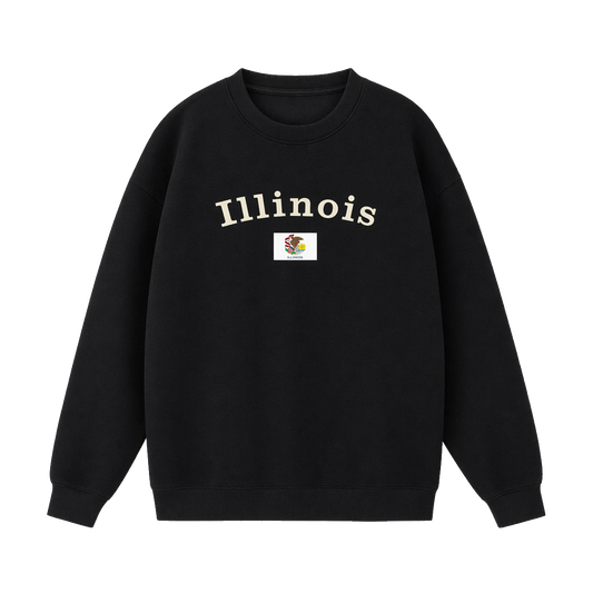 Collection 6 Illinois Essential Heavyweight Crewneck Sweatshirt - Black front