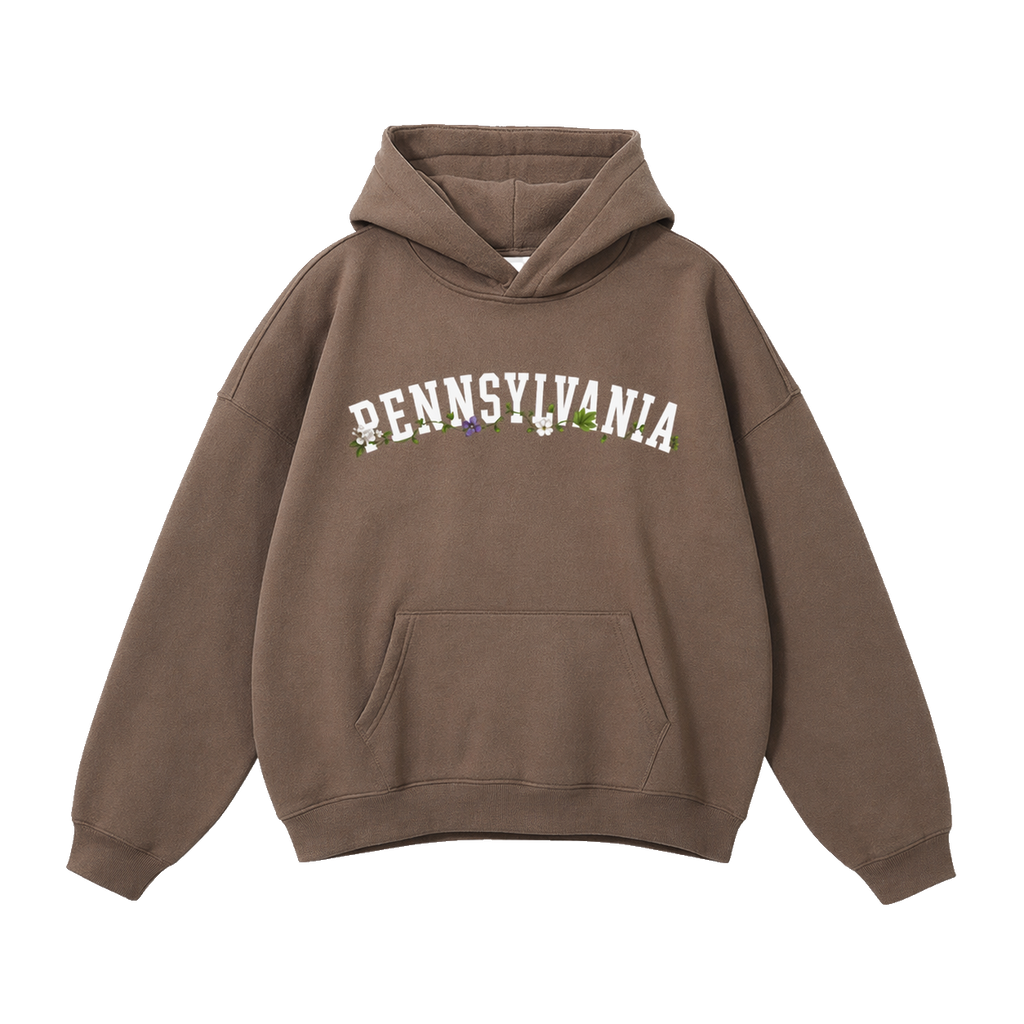 Collection 10 Pennsylvania Oversize Fleeced Hoodie - Brown front
