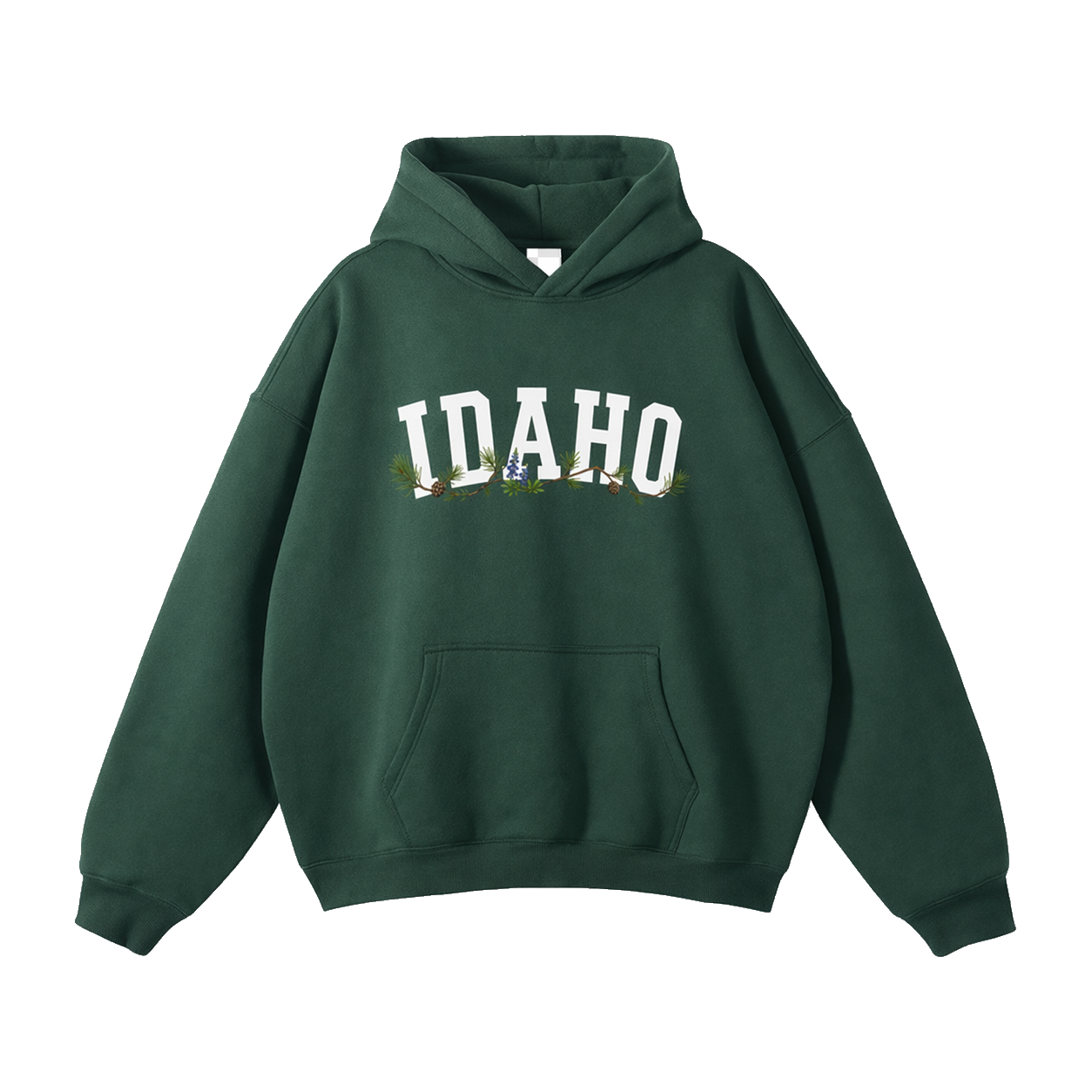 Collection 10 Idaho Oversize Fleeced Hoodie - Eden Green front