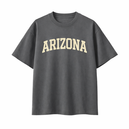 Collection 1 Arizona Essential Cotton T-Shirt - Dark Gray front