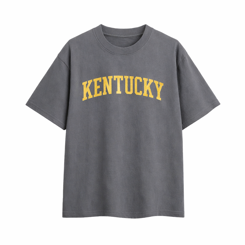 Collection 1 Kentucky Essential Cotton T-Shirt - Dark Gray front