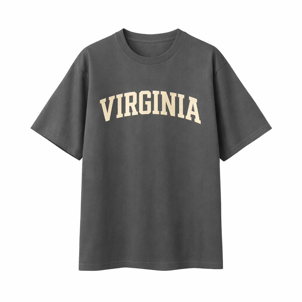 Collection 1 Virginia Essential Cotton T-Shirt - Dark Gray front