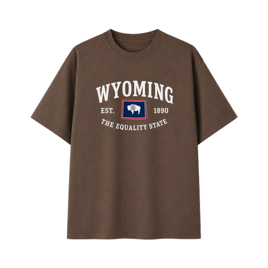 Collection 8 Wyoming Essential Cotton T-Shirt - Coffee front