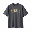 Collection 1 Utah Essential Cotton T-Shirt - Dark Gray front