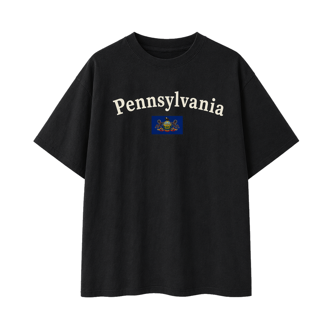 Collection 6 Pennsylvania Essential Cotton T-Shirt - Black front