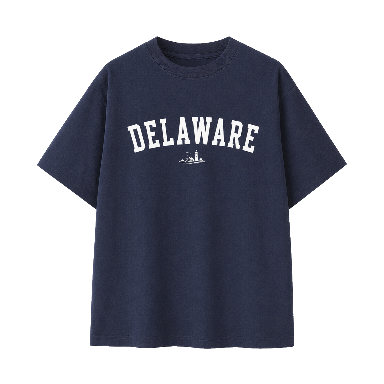 Collection 9 Delaware Essential Cotton T-Shirt - Navy Blue front
