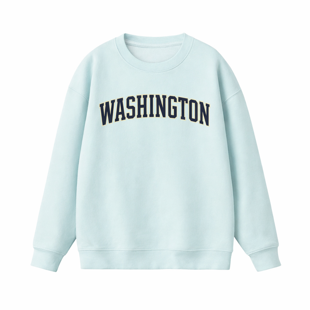 Collection 1 Washington Essential Heavyweight Crewneck Sweatshirt - Water Blue front