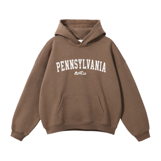 Collection 9 Pennsylvania Oversize Fleeced Hoodie - Brown front