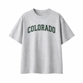 Collection 1 Colorado Essential Cotton T-Shirt - White Gray front