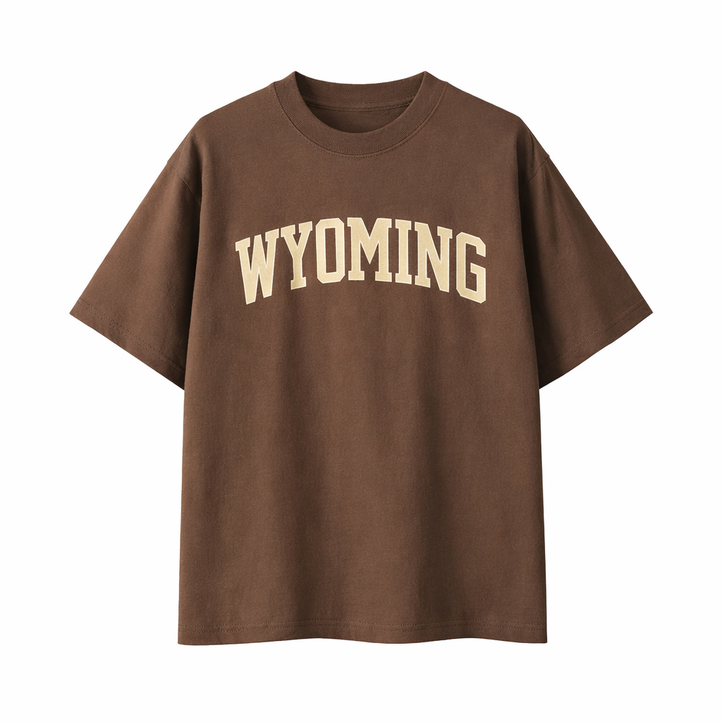 Collection 1 Wyoming Essential Cotton T-Shirt - Coffee front