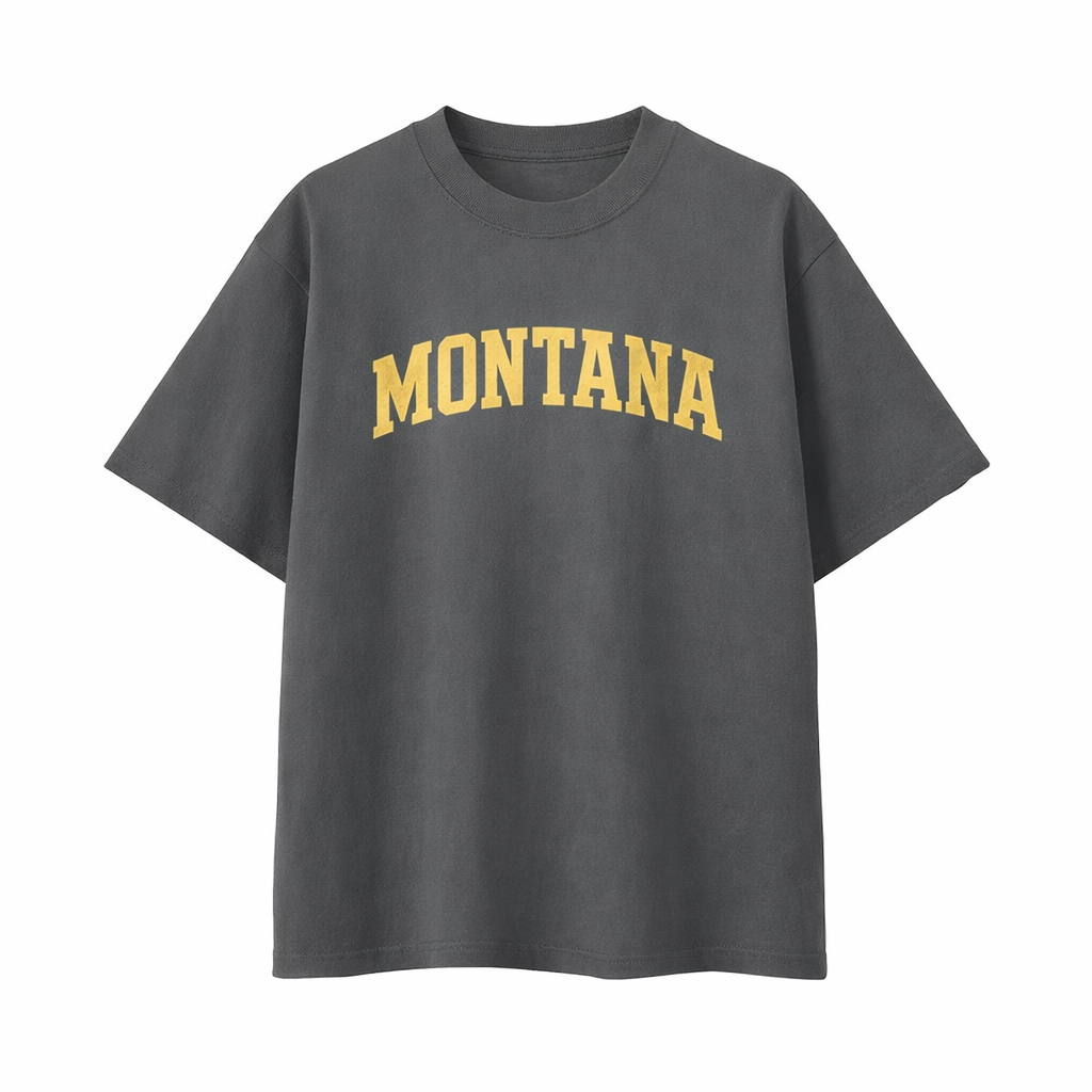 Collection 1 Montana Essential Cotton T-Shirt - Dark Gray front