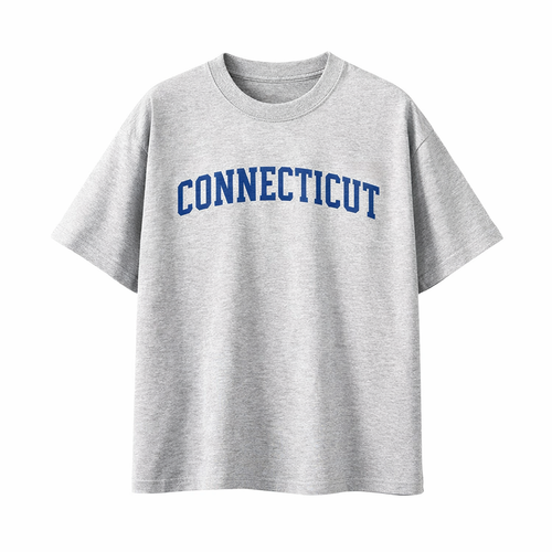 Collection 1 Connecticut Essential Cotton T-Shirt - White Gray front